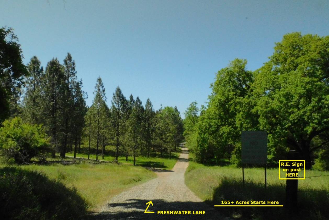Horse Property for sale.