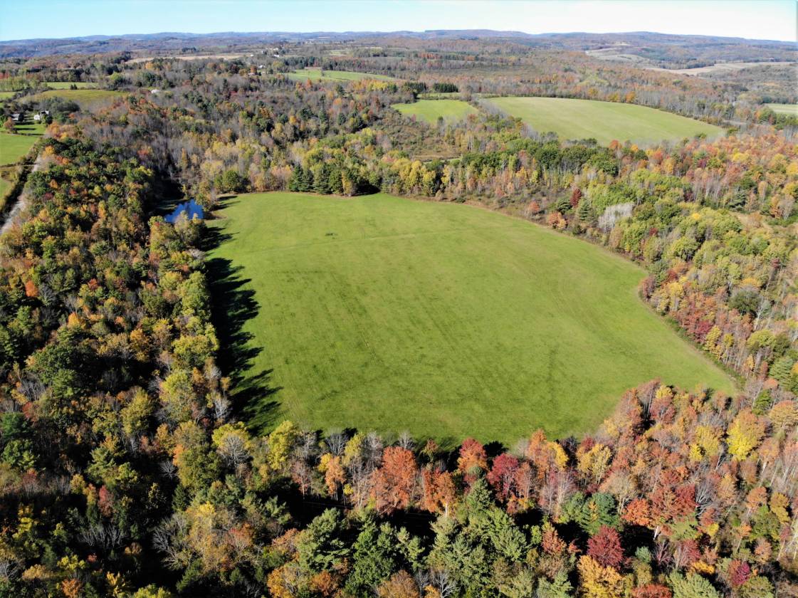 Almost 134 pristine acres, pond, and tons of road frontage! Cameron