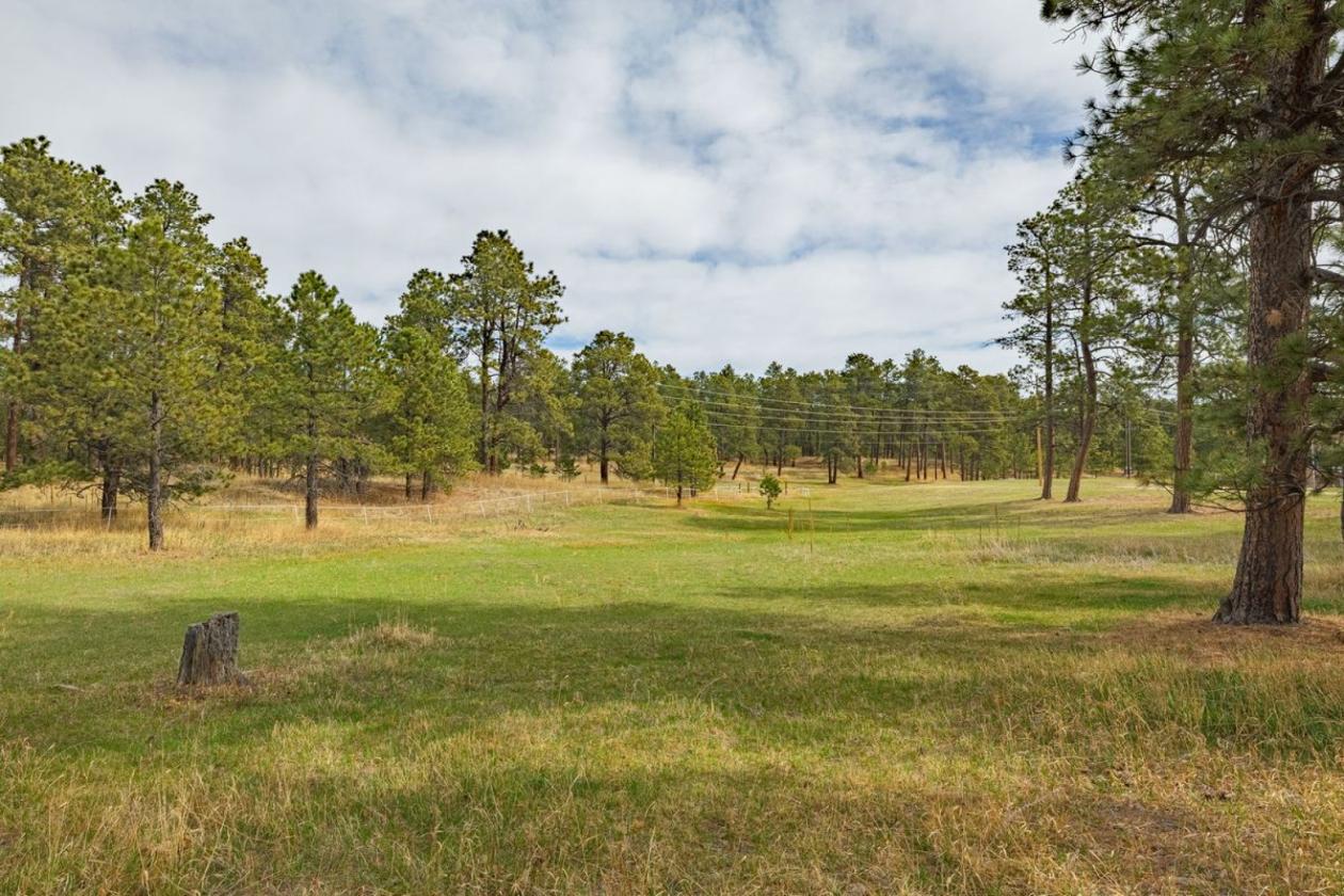 Historic Pine Run Ranch in Black Forest on 60AC - photo 18