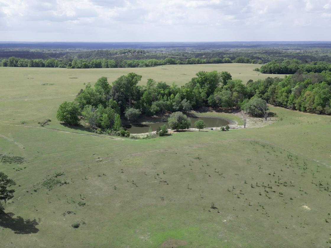 320 prime acres on HIckory Hill, Washington County - photo 4