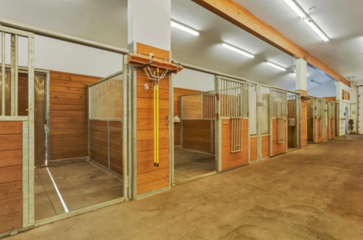 Legacy Equestrian Ranch on Private Lake - photo 6