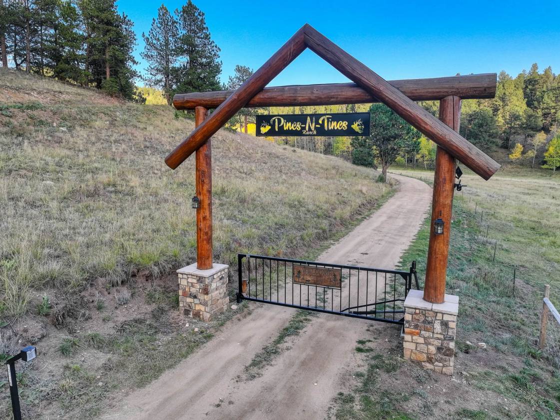 MAGICAL PINE & TINES RANCH - photo 2