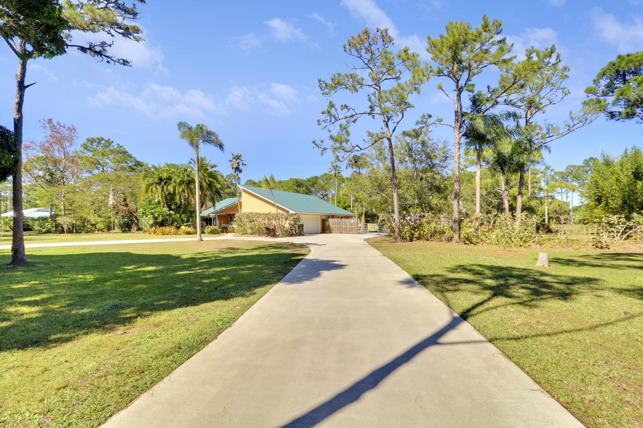 Hidden gem—bring your horse home today - photo 7