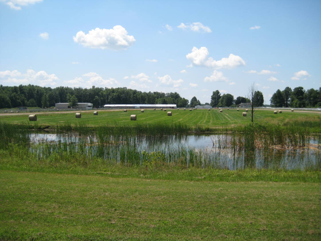 SOUTHWEST LICKING EQUESTRIAN CENTER FOR SALE! | Pataskala ...