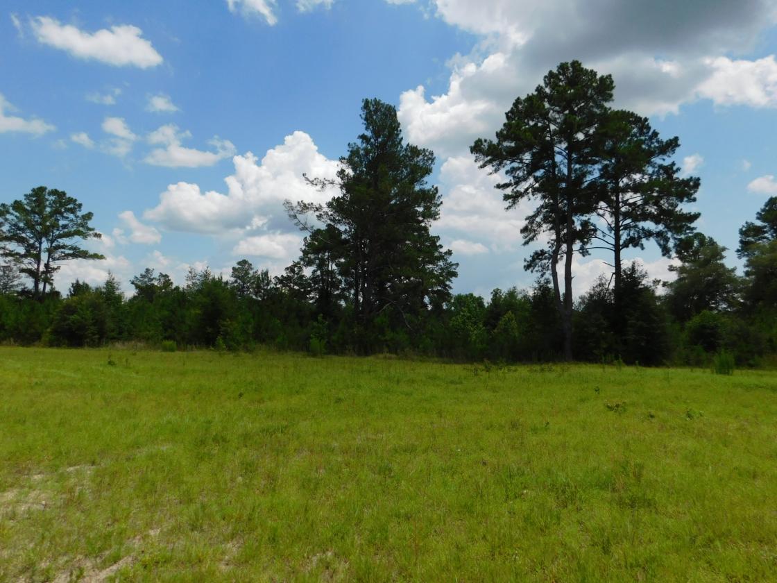 Lowcountry Paradise, waiting for your creativity - photo 16