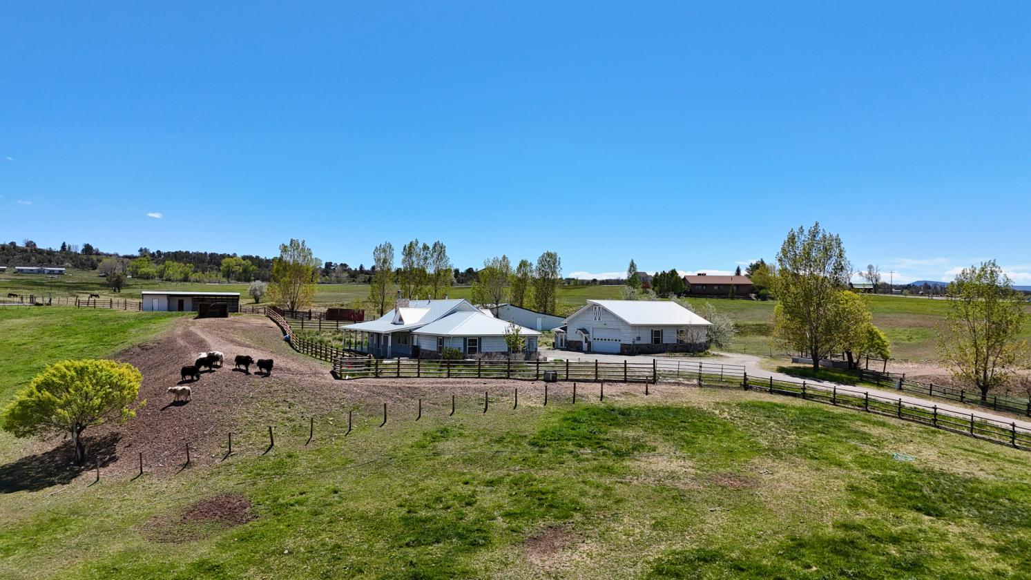 Beautiful Horse Property on 5.37 Acres - photo 2