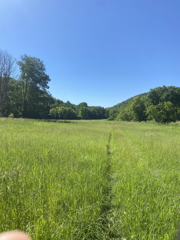 Deep River Farm - photo 27