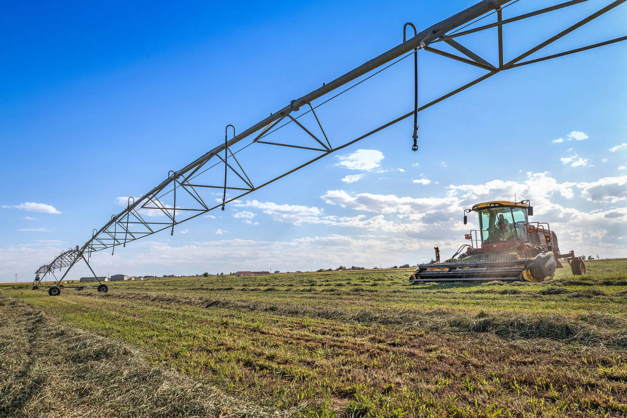 253 Acre Horse Property with Indoor Arena & Beautiful Home Keenesburg