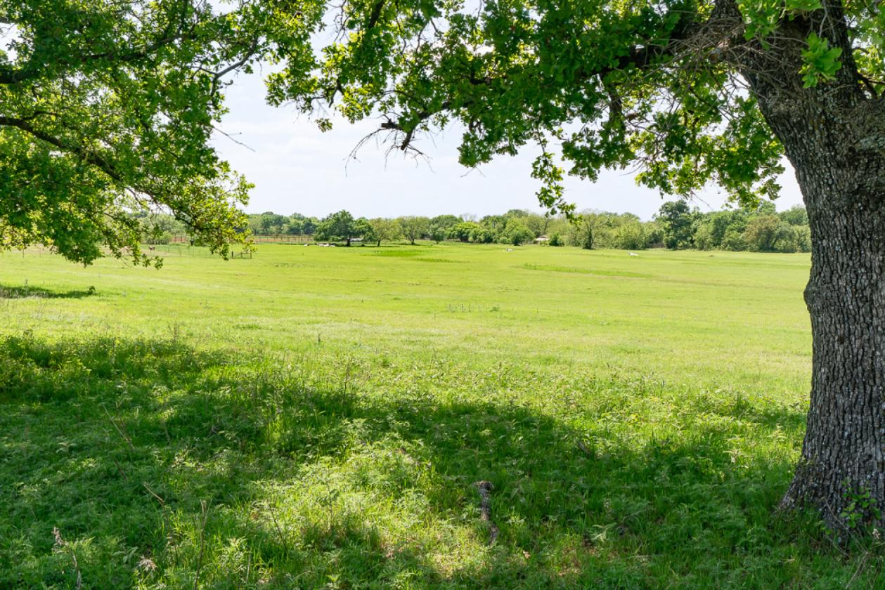 Scenic 64 Acre Horse & Cattle Property - photo 30