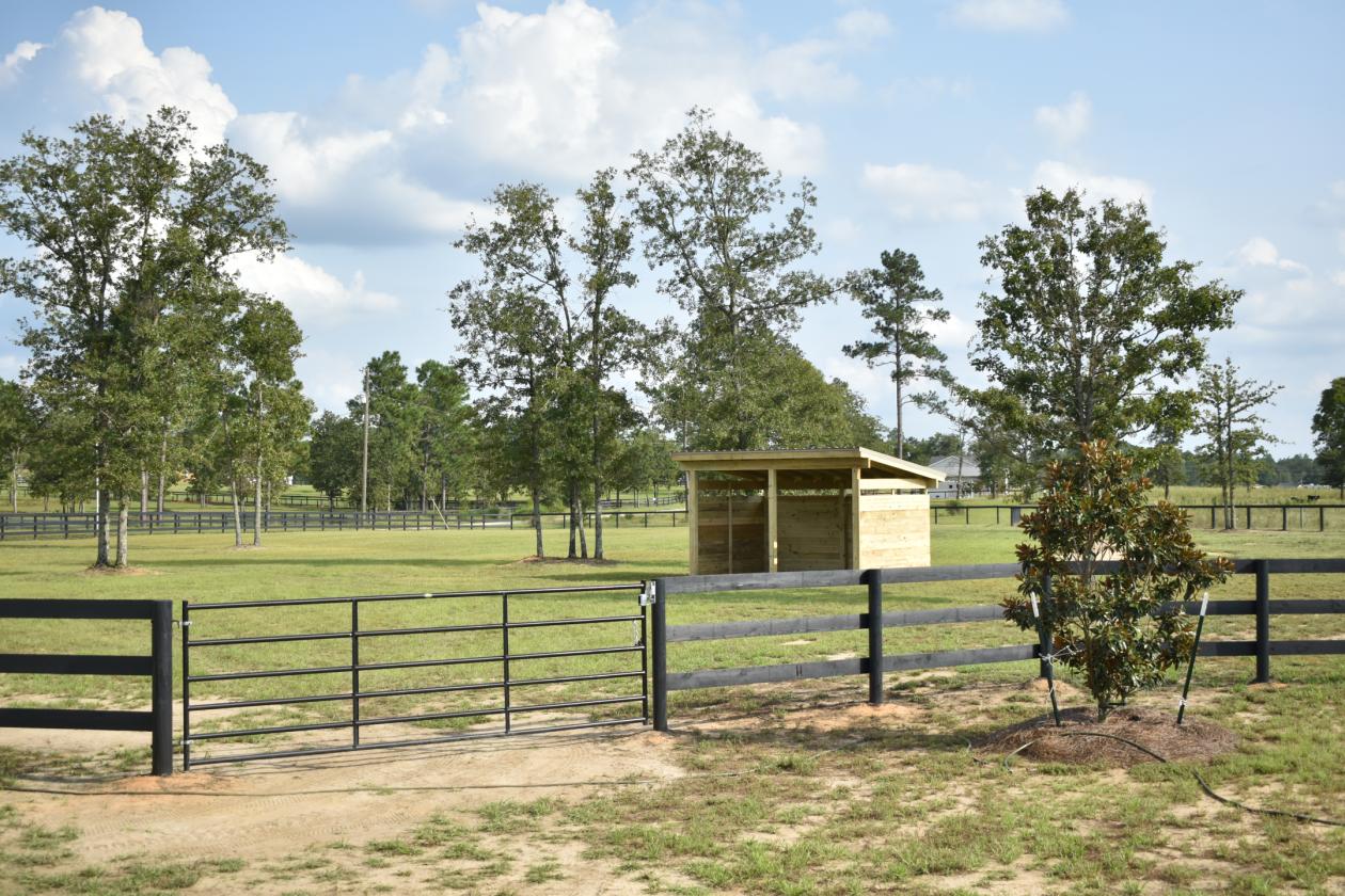 New Move-In Ready Equestrian Home on 8.72 Acres - photo 2