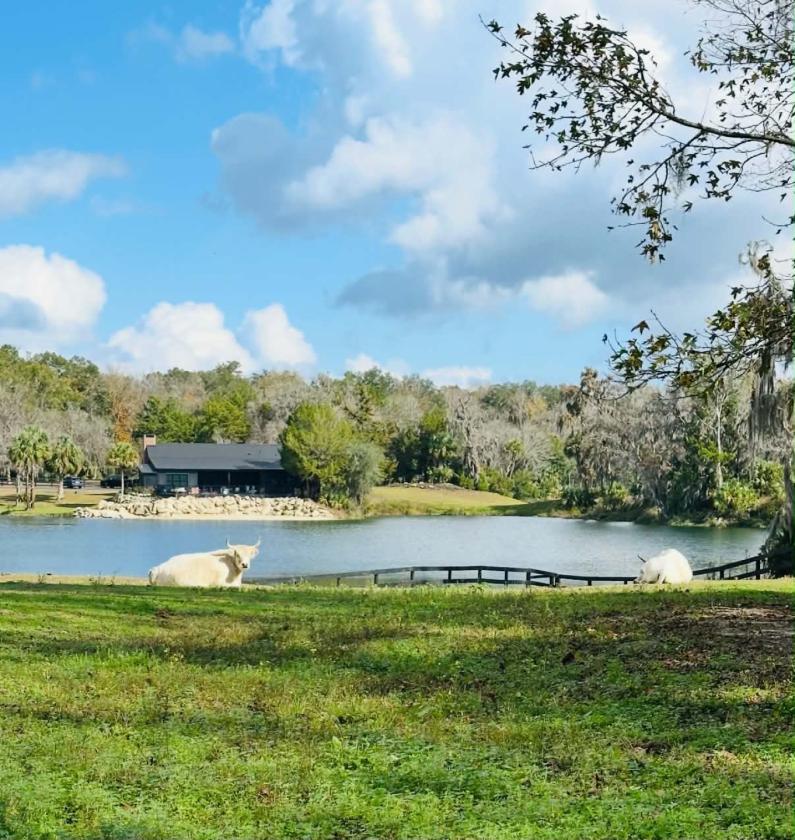 The Quarry Estate-Waterfront Equestrian Retreat - photo 2