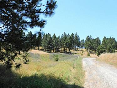 Property image.