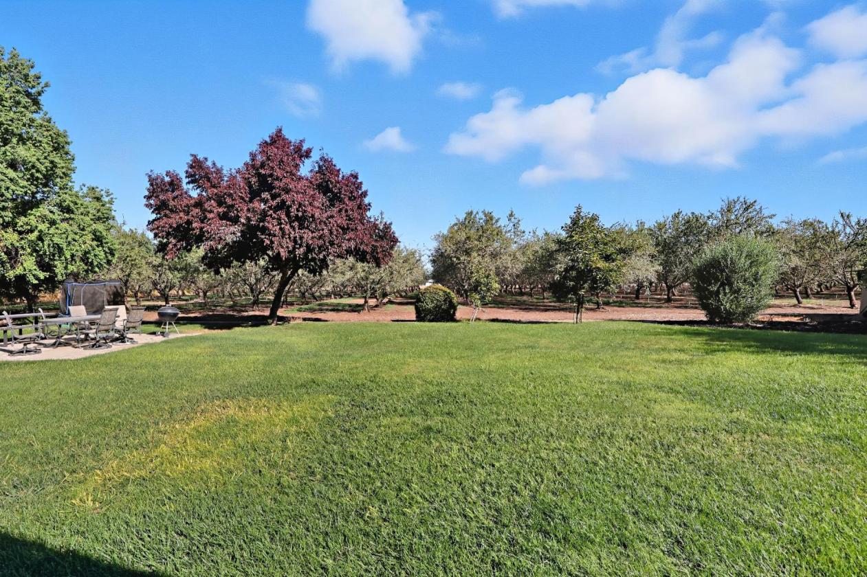 Potential Horse Property Custom Home & Orchard - photo 21