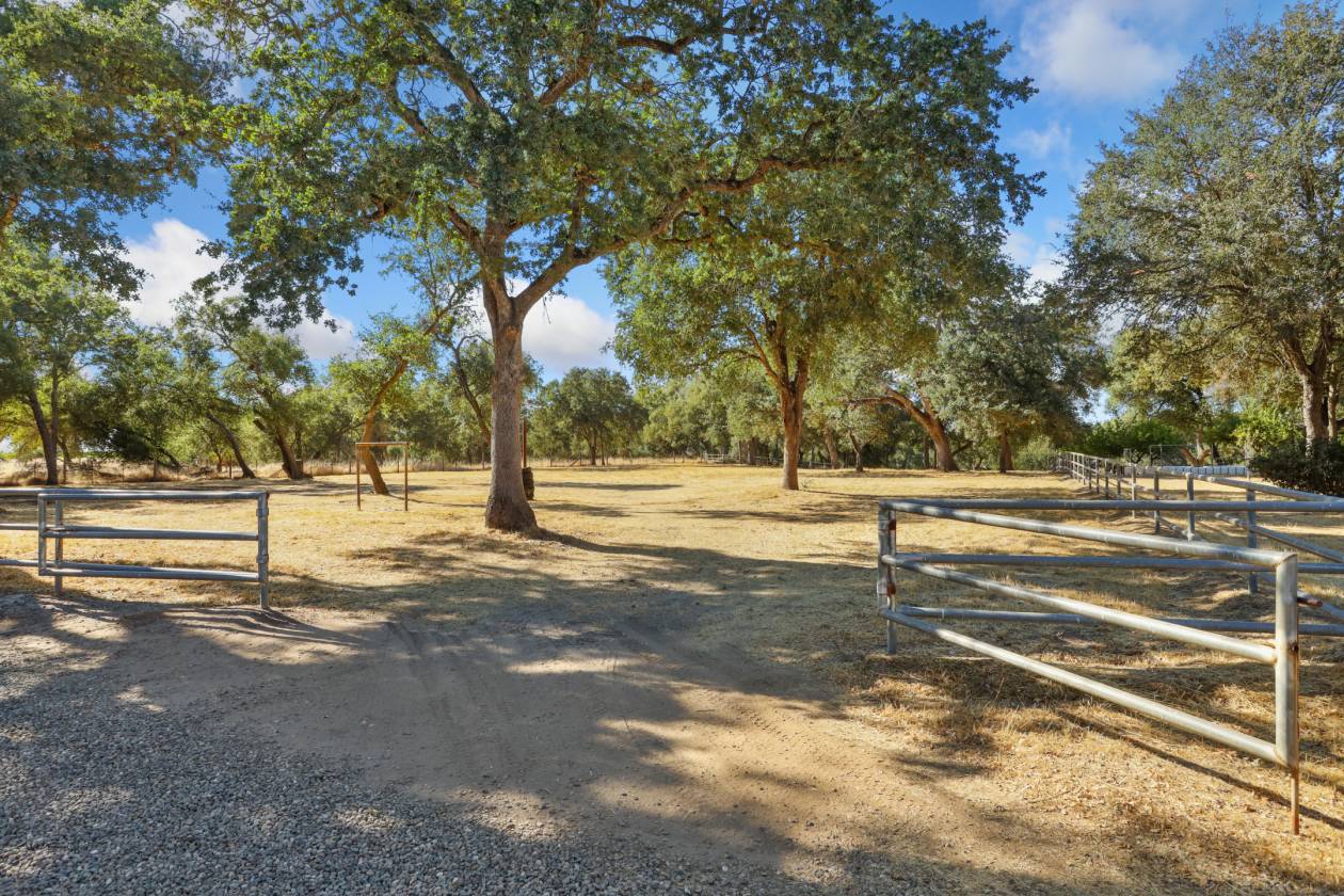 Estate with 7 pastures, 2 homes, lake, Vineyard - photo 24