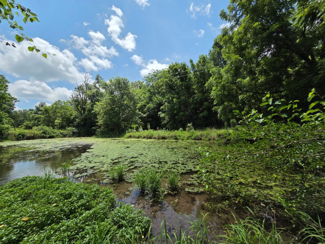Legacy 56 ac. Estate- 7,800 sqft home, barn, creek - photo 13