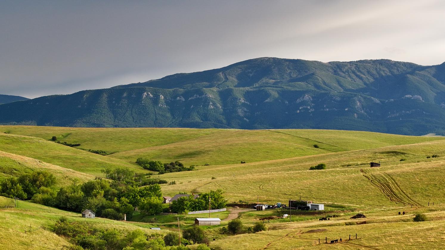 ±46 acres of Red Lodge Mountain Views - photo 25