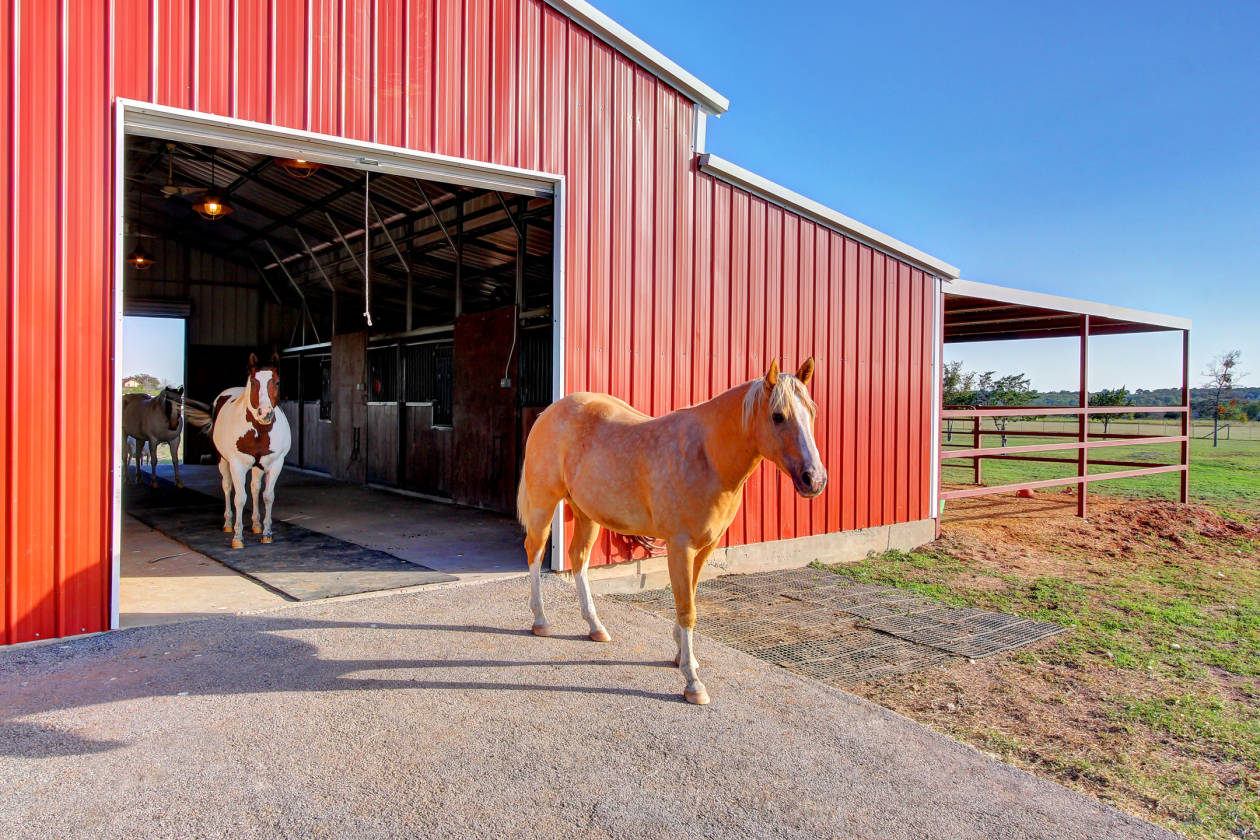 Austin area luxury equestrian estate with separate guest house on