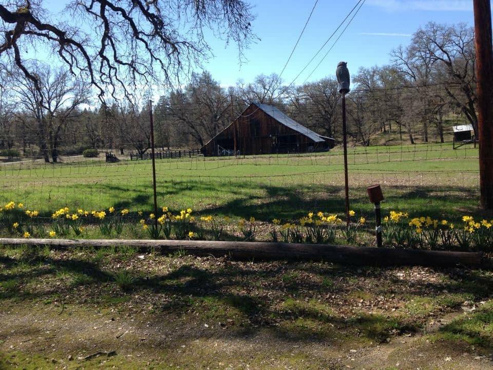 41.5 Acre Horse Property with 4 Wells, Large Barn, 3... Covelo, Mendocino County, California