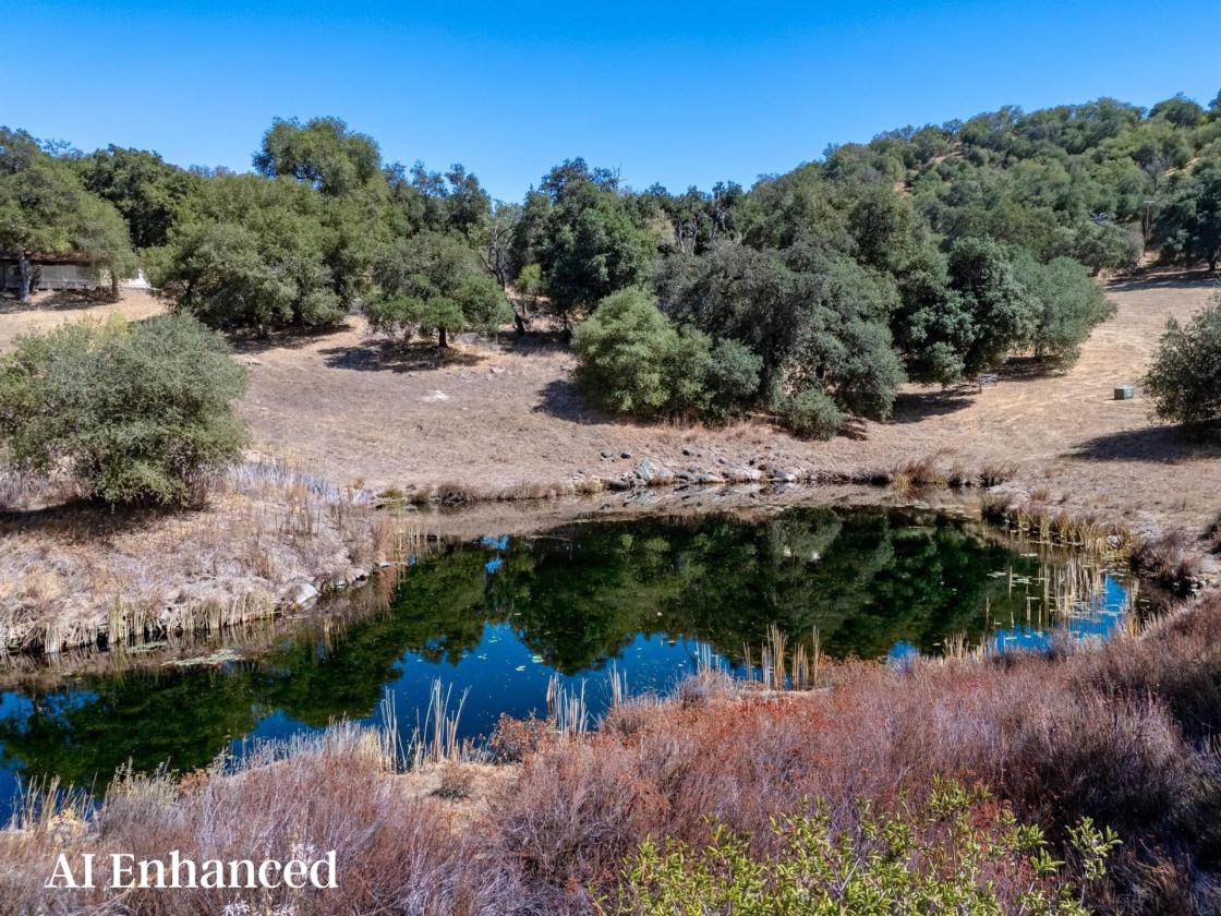 Meadow Ranch - photo 5
