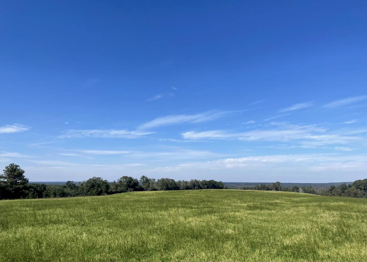 320 prime acres on HIckory Hill, Washington County - photo 5