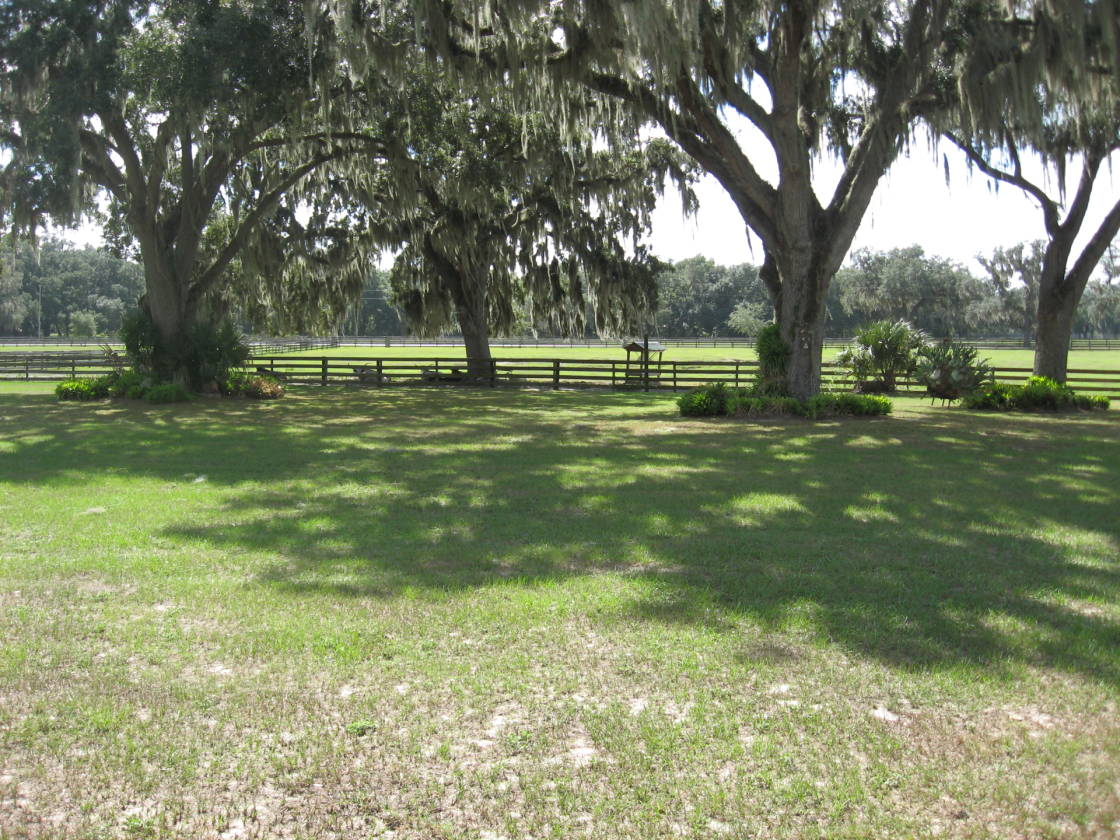 23+ Acres with pool home. Sumterville, Sumter County, Florida