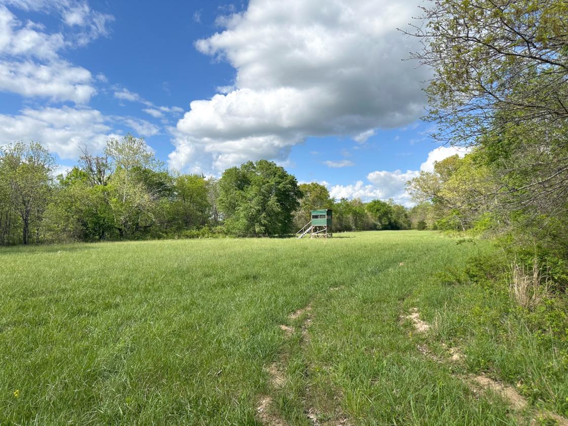 139 Acre Farm - Horse & Livestock Ready - photo 11