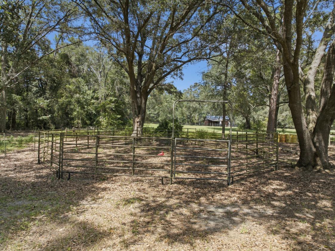 A Rare Equestrian Estate Designed for Horse & Home - photo 10
