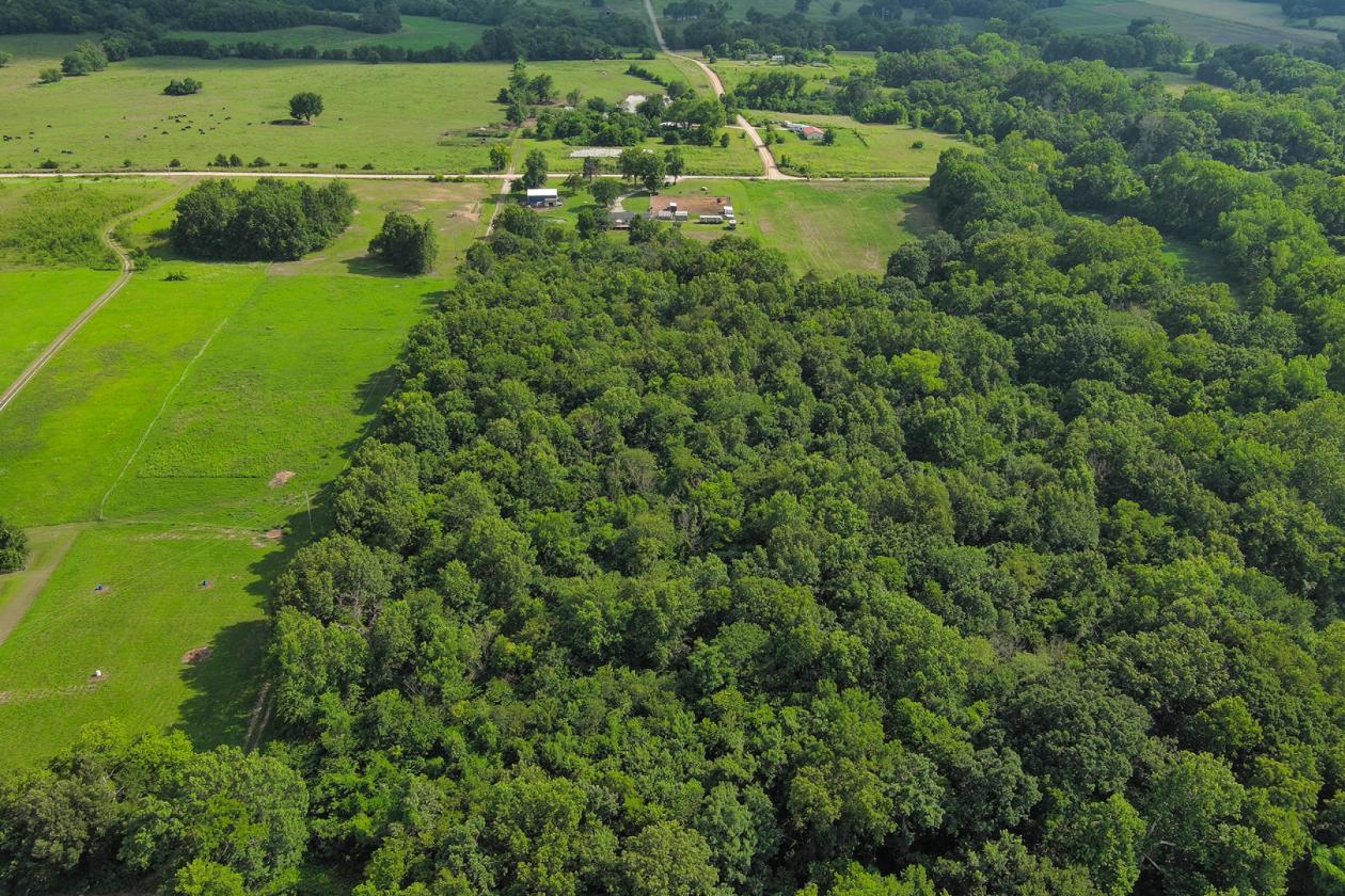 Homestead ready, horse property 2025 build - photo 18