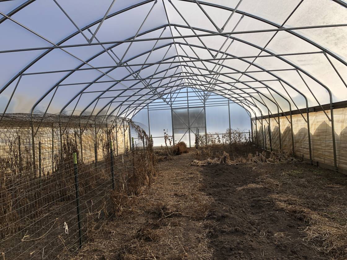 HaywardSpringbrook WI Horse Lovers Dream Priced Right First