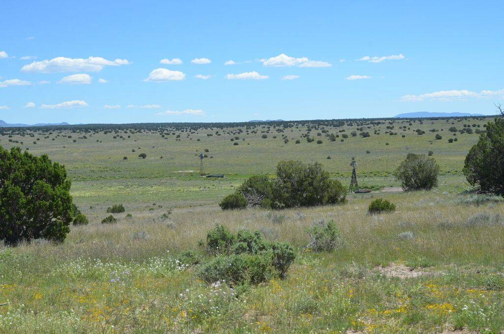 EastWest Ranch Quemado, Catron County, New Mexico