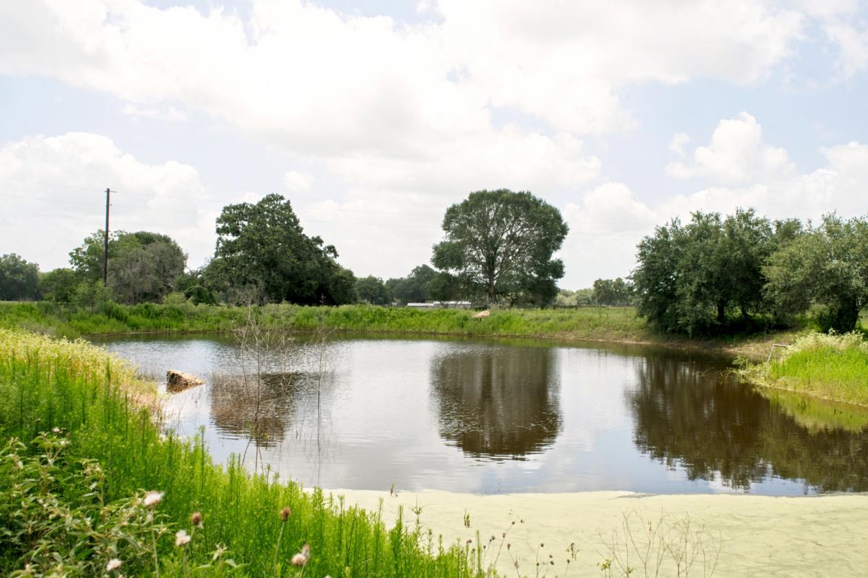 76 Ac. Braun Farm - photo 23