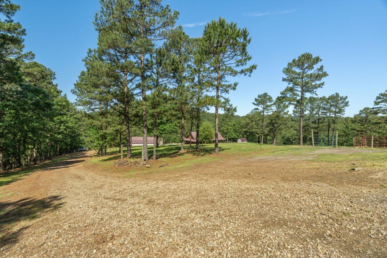 Equestrian Property Bordering National Forest - photo 24