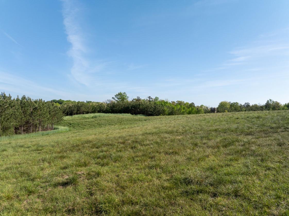 169 Acres, pastures, creeks, pond sites and trees - photo 16