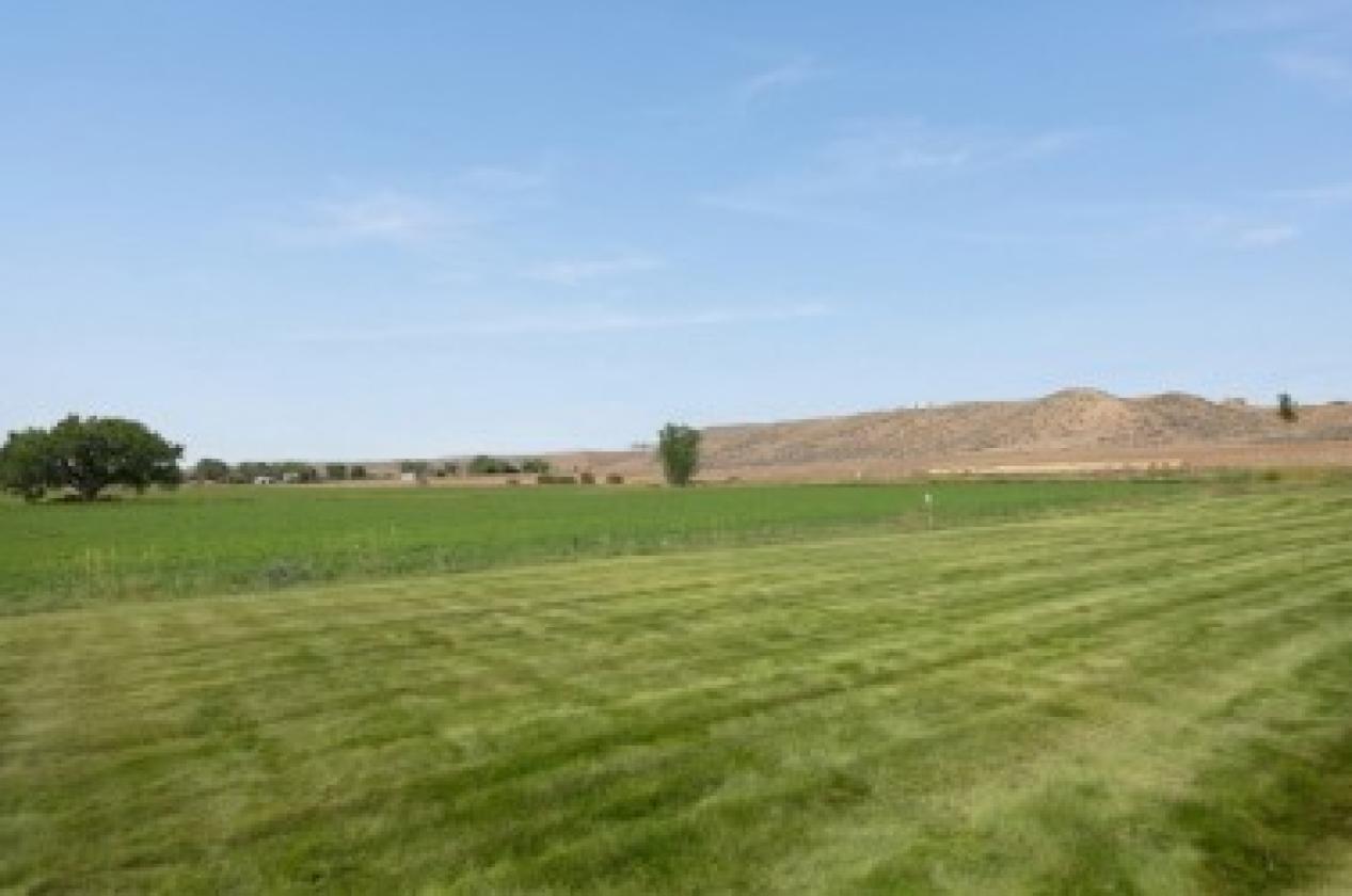 53± Irrigated Acres & Home - photo 3