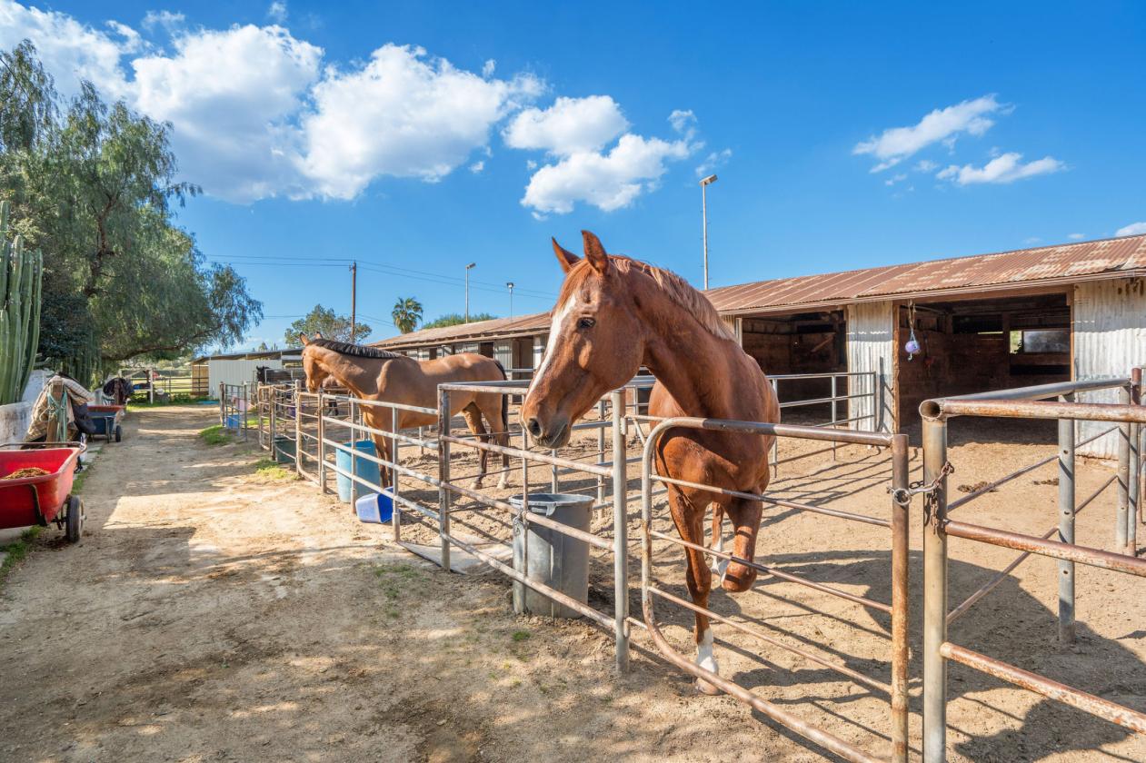 Equestrian & Investment Opportunity in Newhall - photo 9