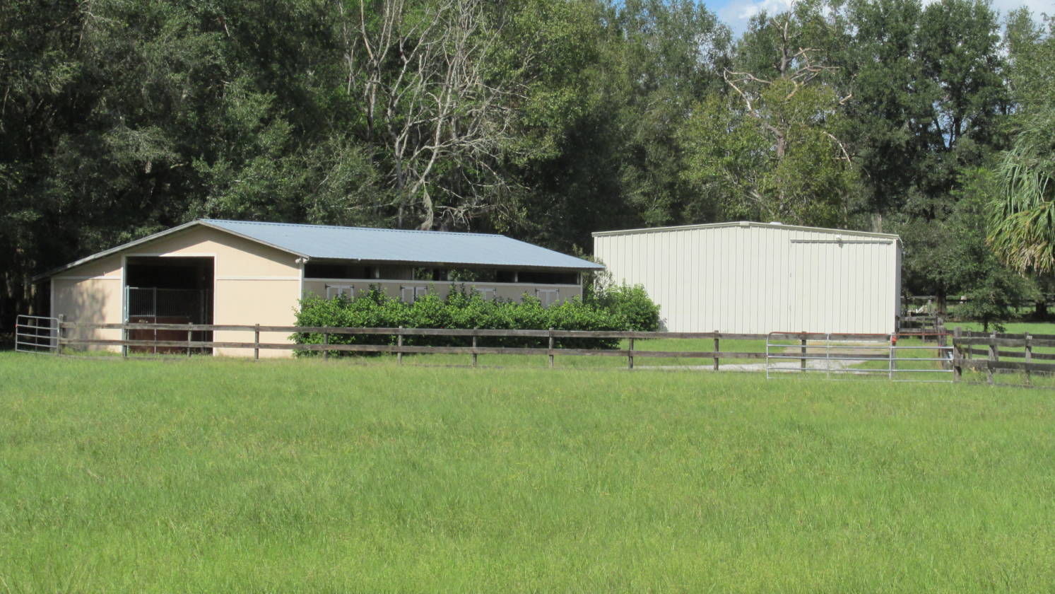 Horse Farm Gainesville, Alachua County, Florida