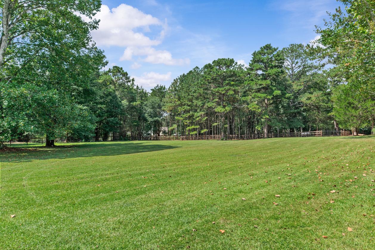 Horse Property Minutes from UGA - photo 4