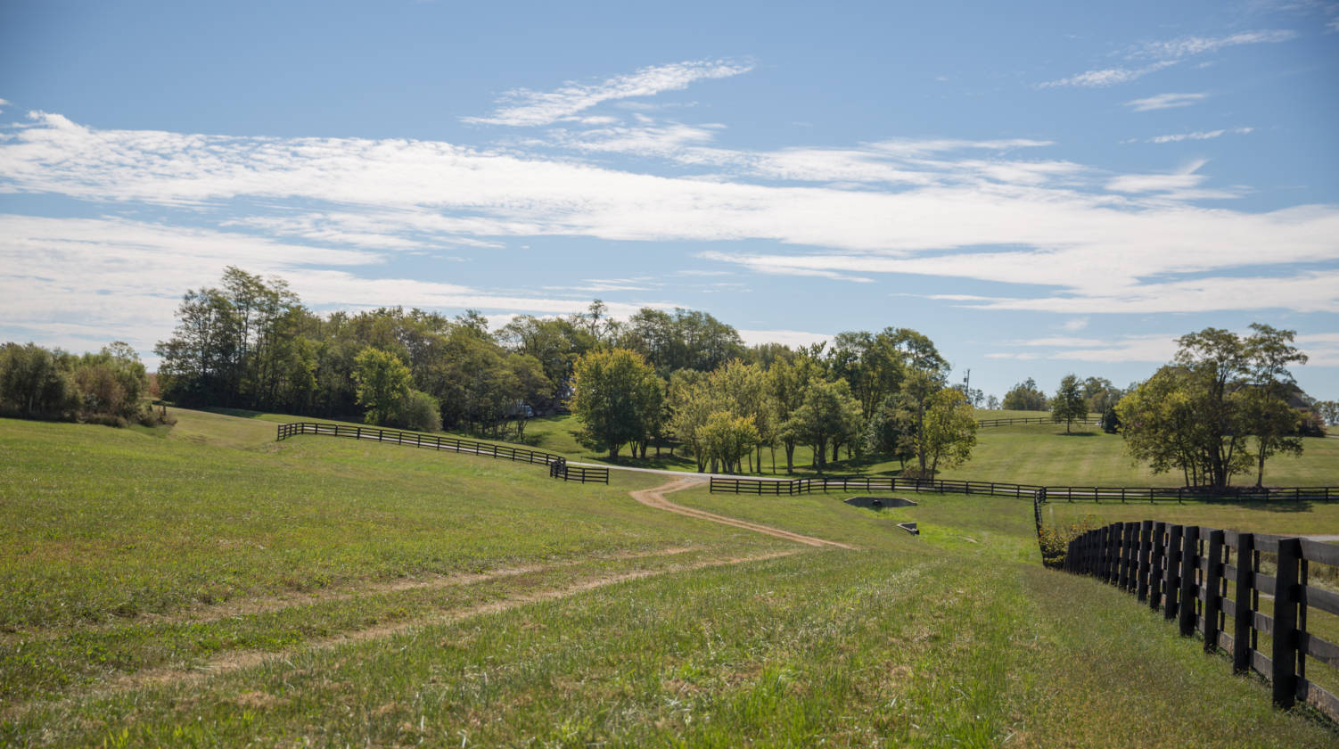 Own a piece of the Bluegrass! Beautiful Bourbon County land... Paris