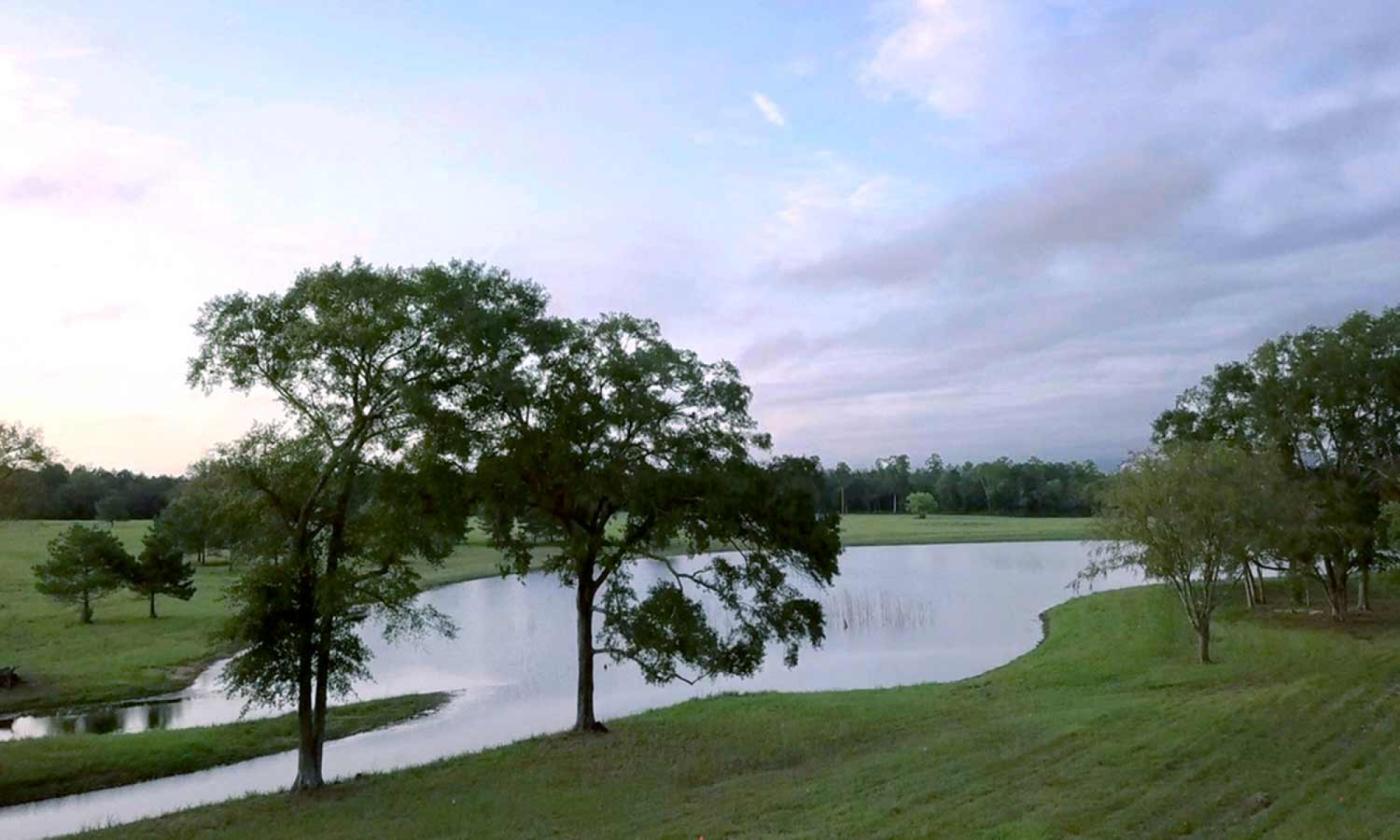Land available ready to build your dream home - photo 11