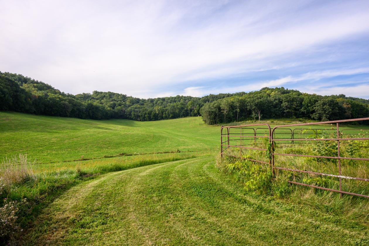 133 acres Stunning Horse Farm - photo 17