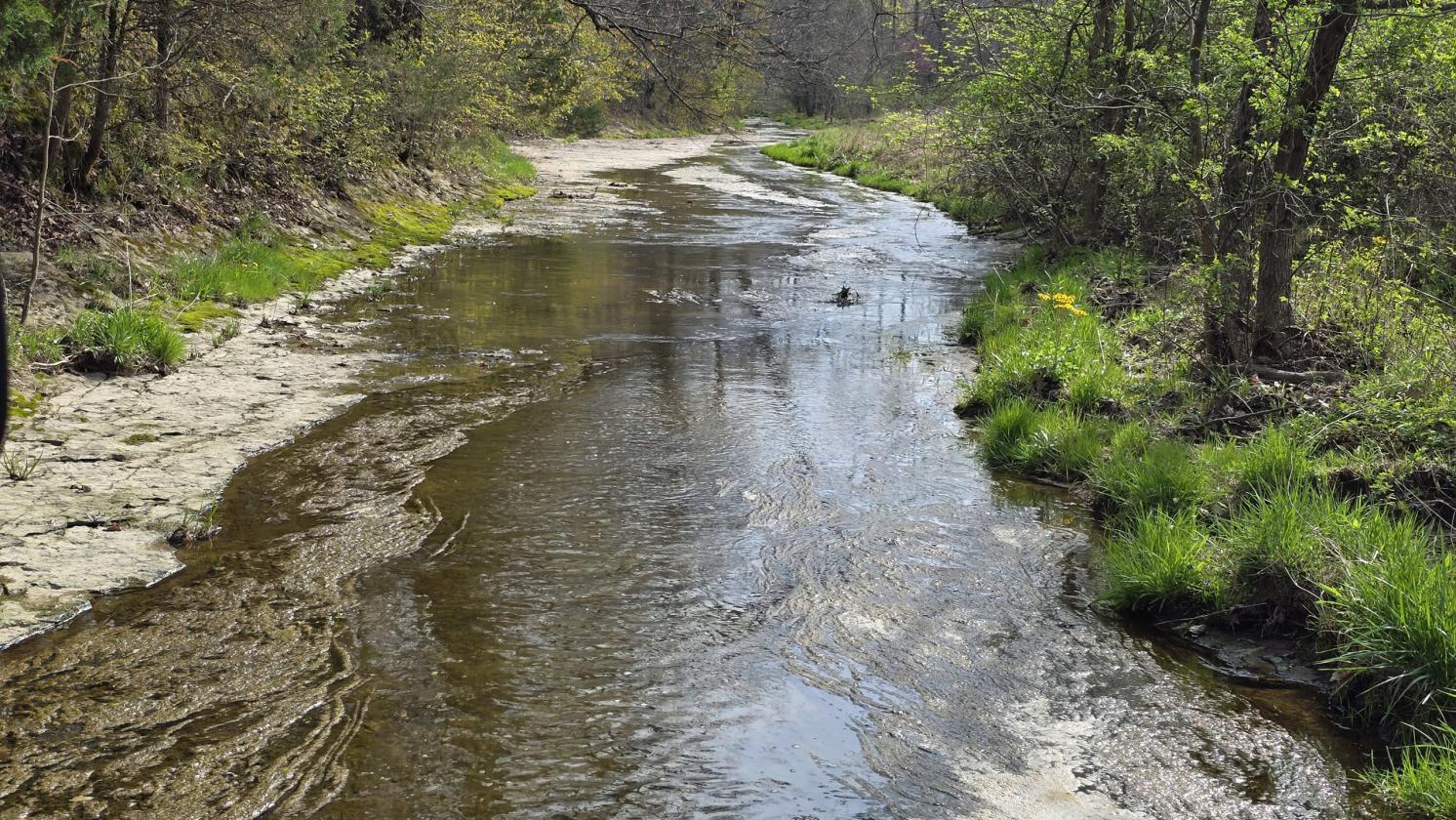 Large Farm Property With Water And Electric Onsite - photo 3