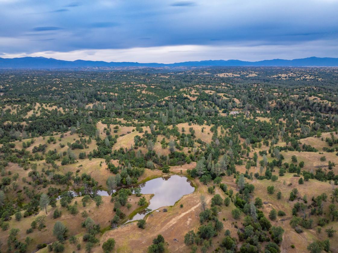 480 Acre Litte Crane Creek Ranch - photo 15