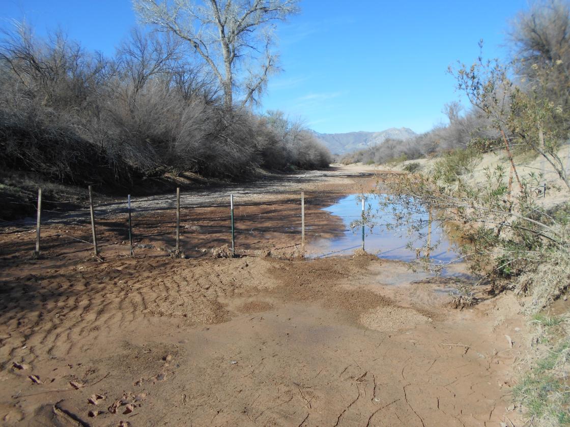 Horse Property - 69 Acres on San Pedro River! - photo 21