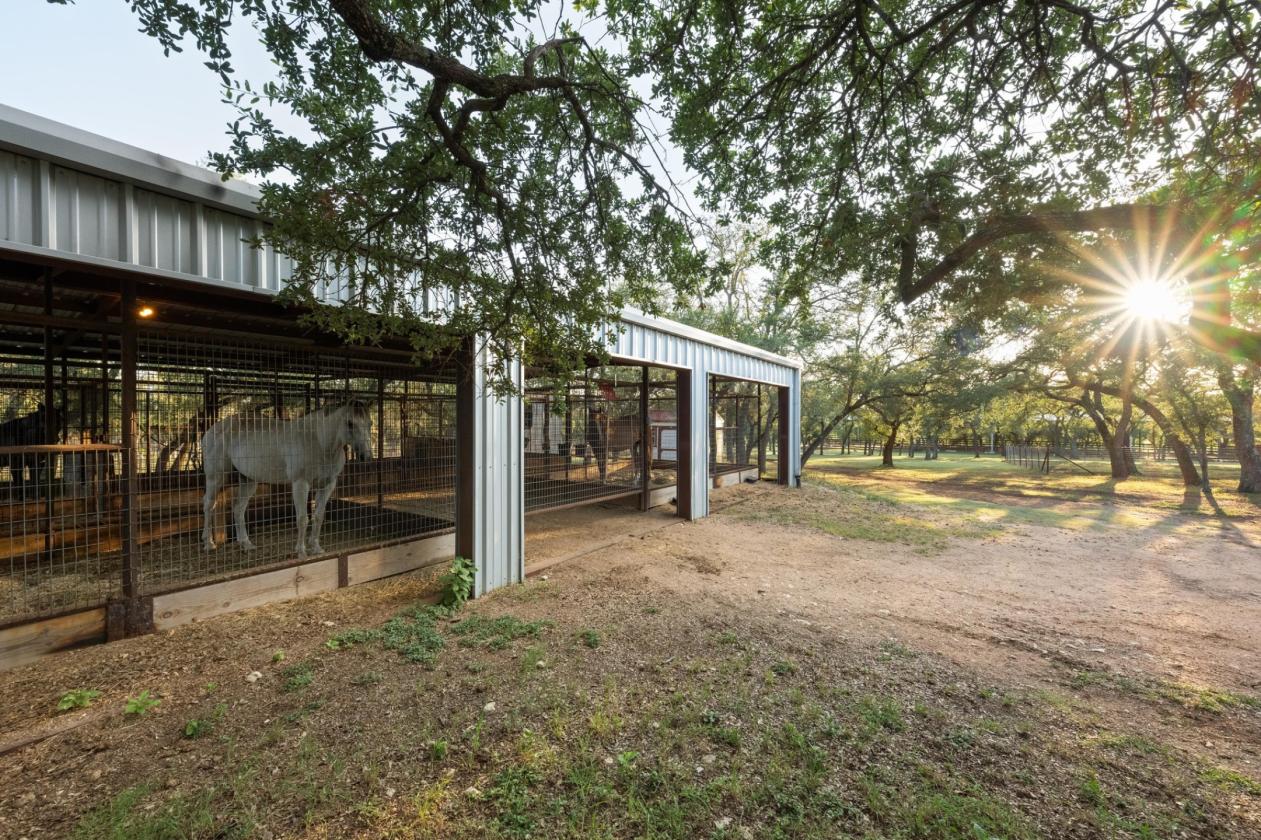 Dancing Oaks Equestrian Ranch - photo 12