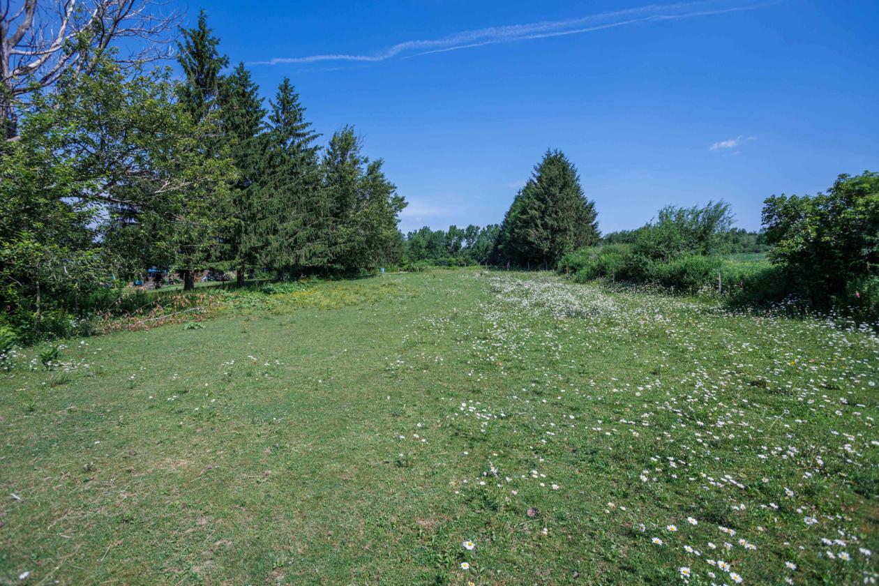 Scenic Horse or Hobby Farm - photo 19
