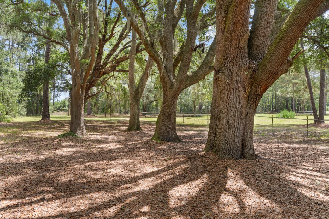 Historic home - ready for horses! - photo 22