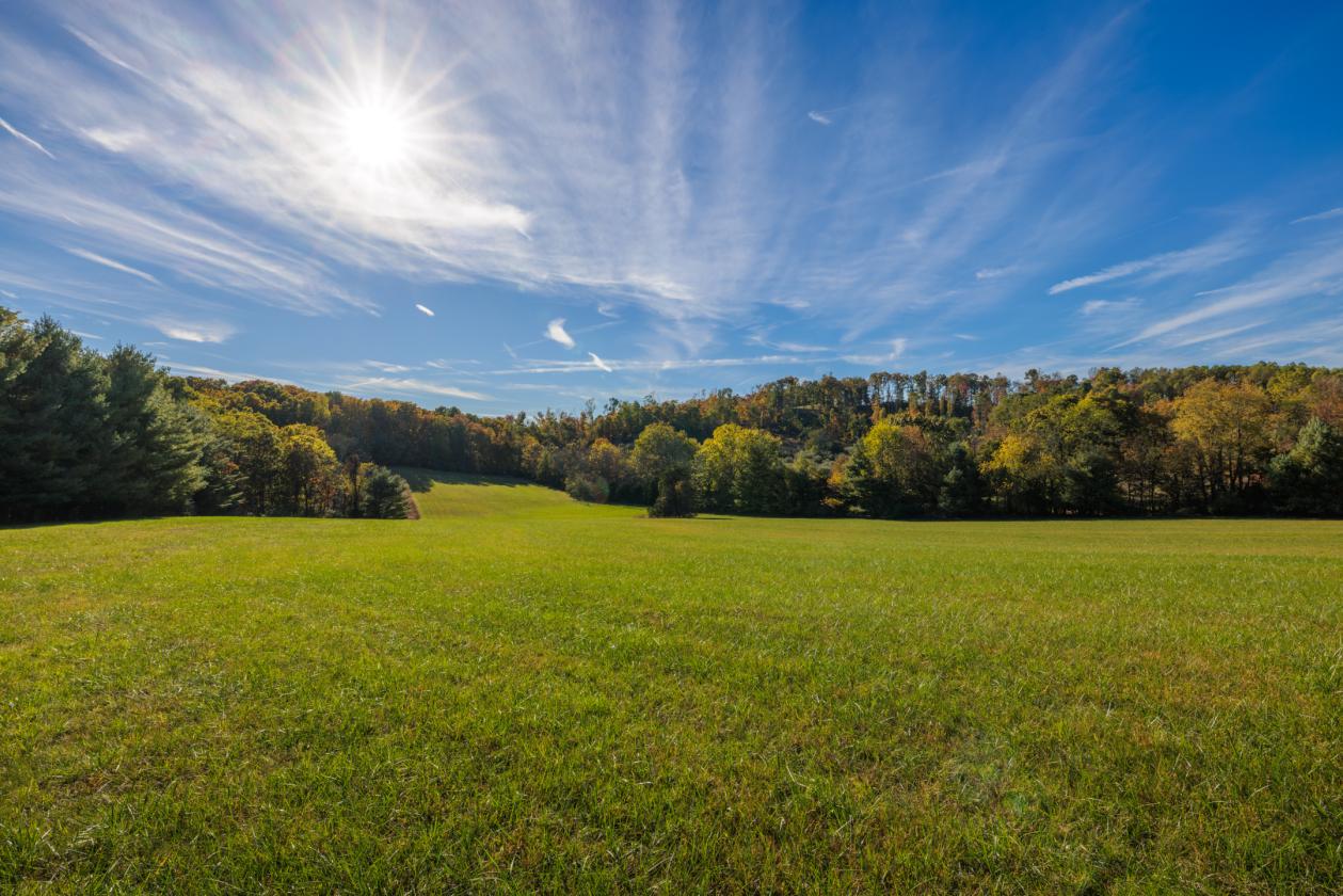 Morley Ridge Park - photo 28