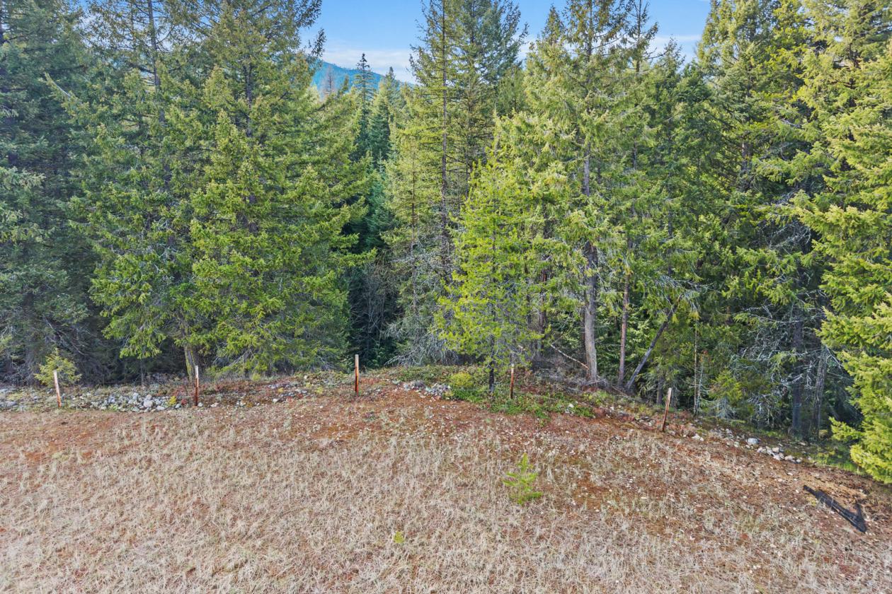 Level 20.65 acres w/Creek, Pasture & Woods - photo 7