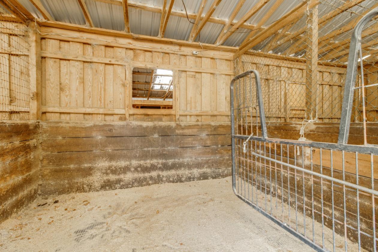 Welcome to Fox Path Farm - photo 17