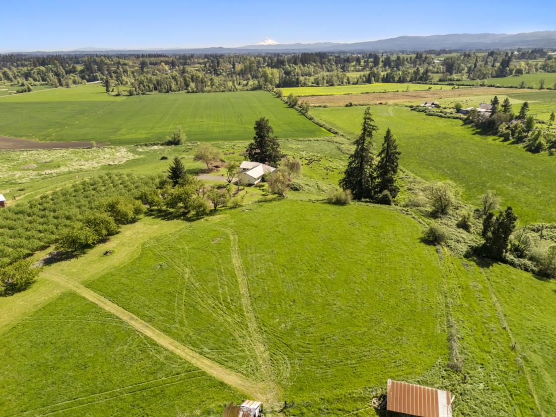 10 Acre Horse Property w/ Two Dwellings - photo 2